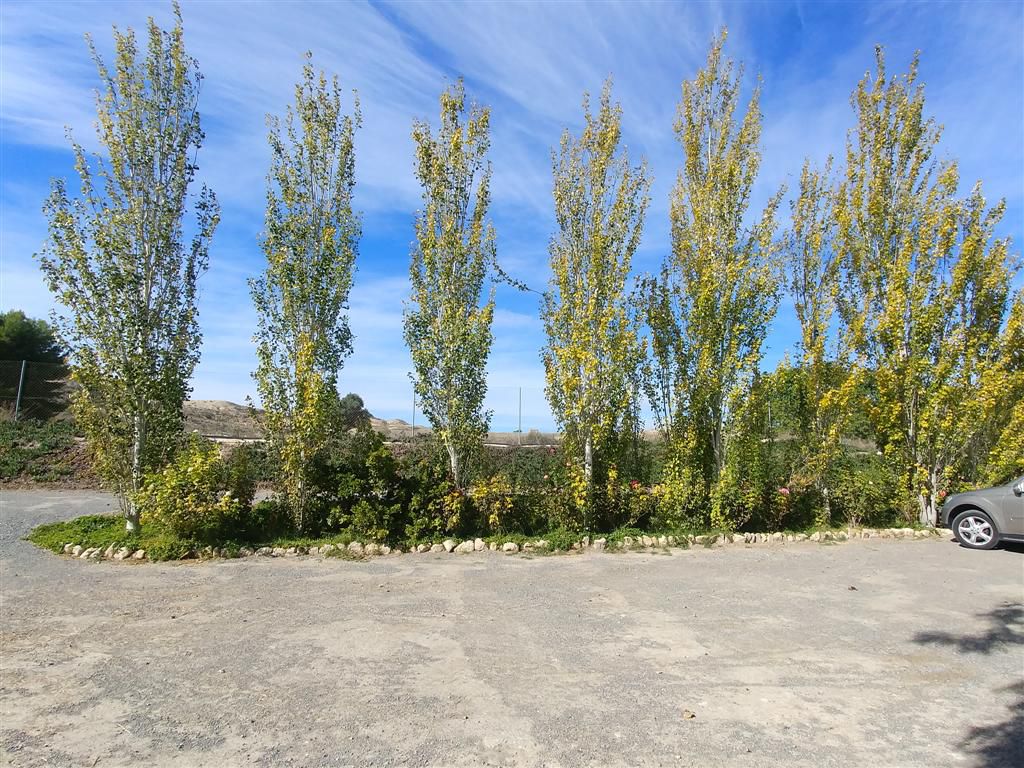 Farm for sale in Polígonos, Elche/elx, Alicante — photo 22