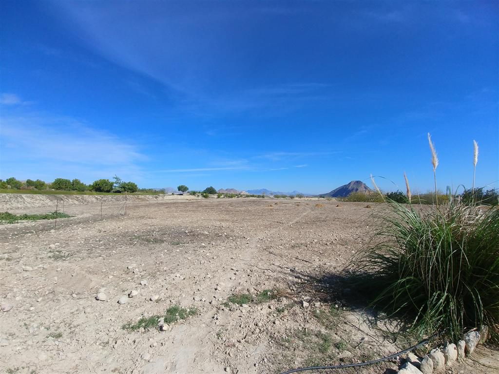 Farm for sale in Polígonos, Elche/elx, Alicante — photo 13