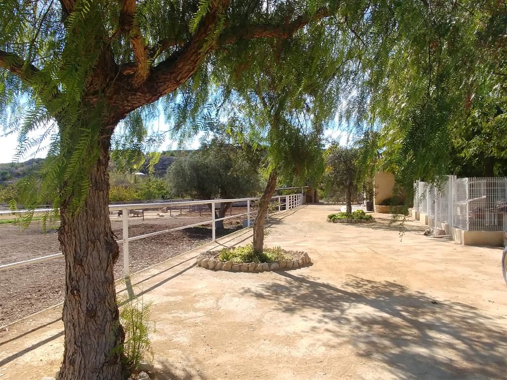 Farm for sale in Polígonos, Elche/elx, Alicante — photo 16