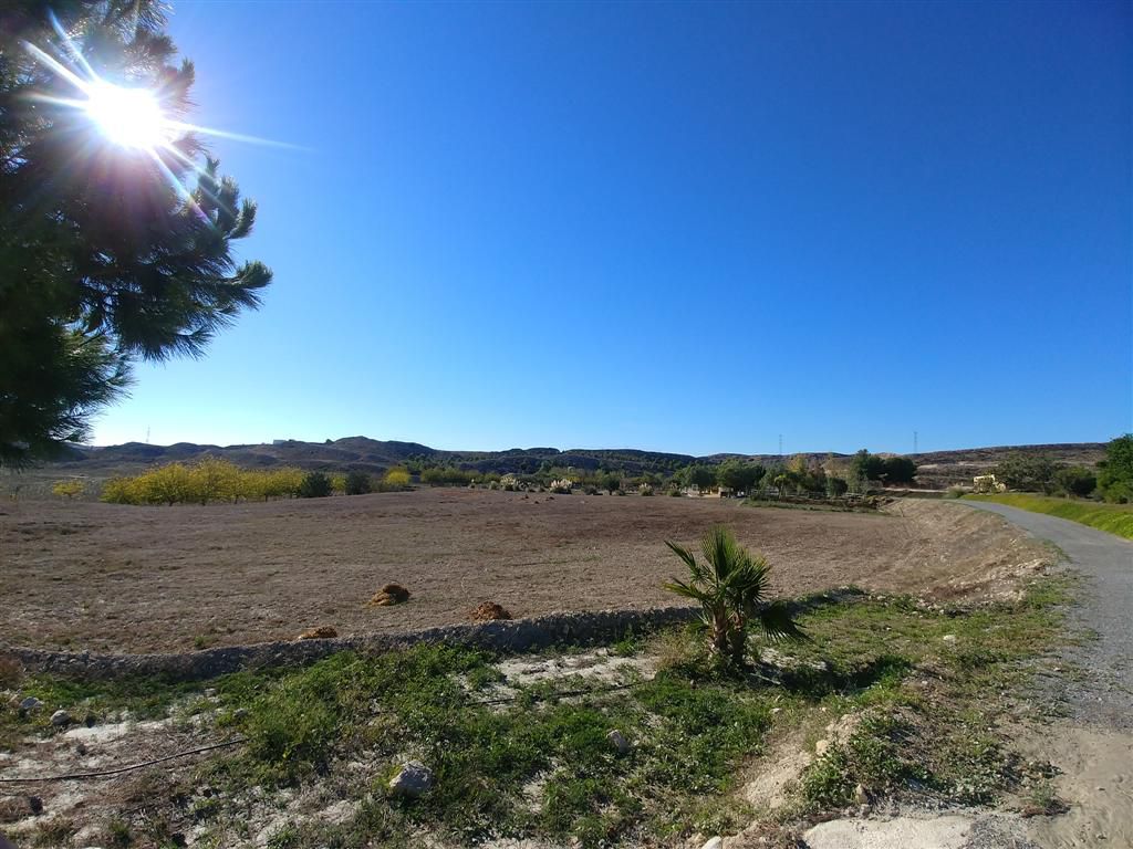 Farm for sale in Polígonos, Elche/elx, Alicante