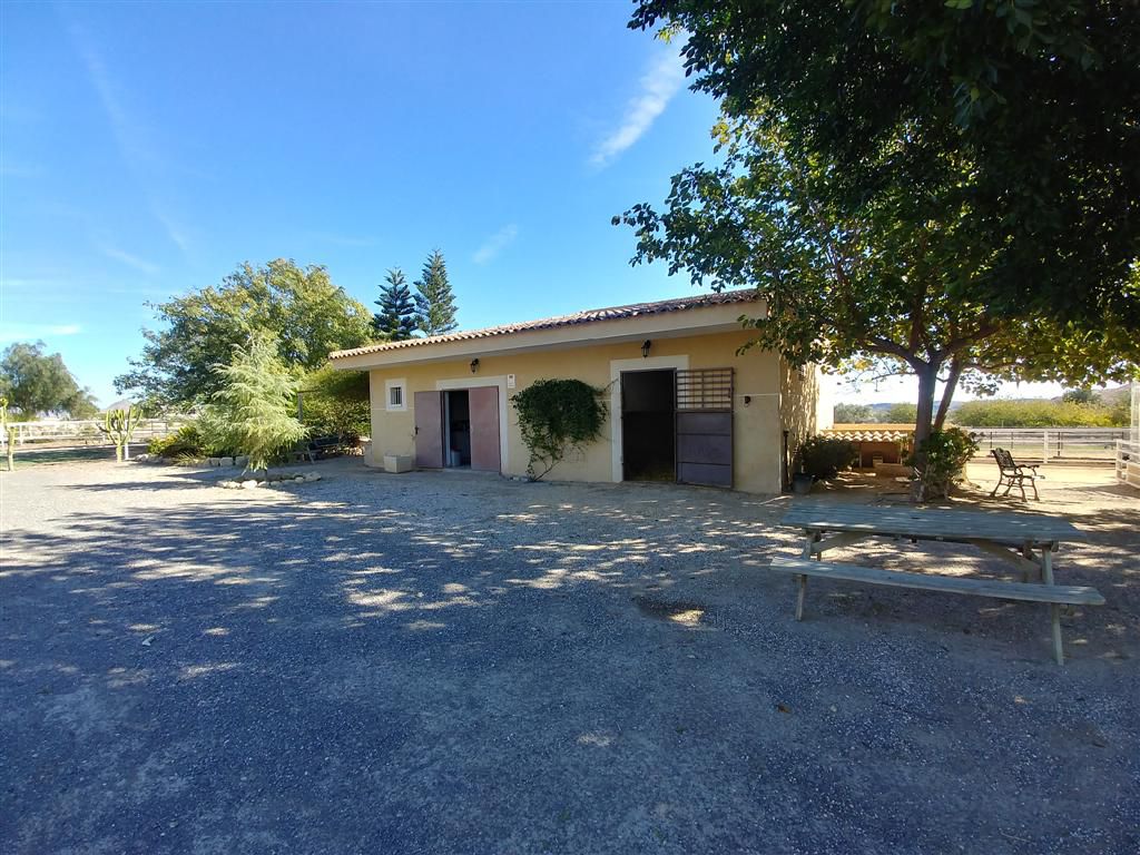Farm for sale in Polígonos, Elche/elx, Alicante — photo 5