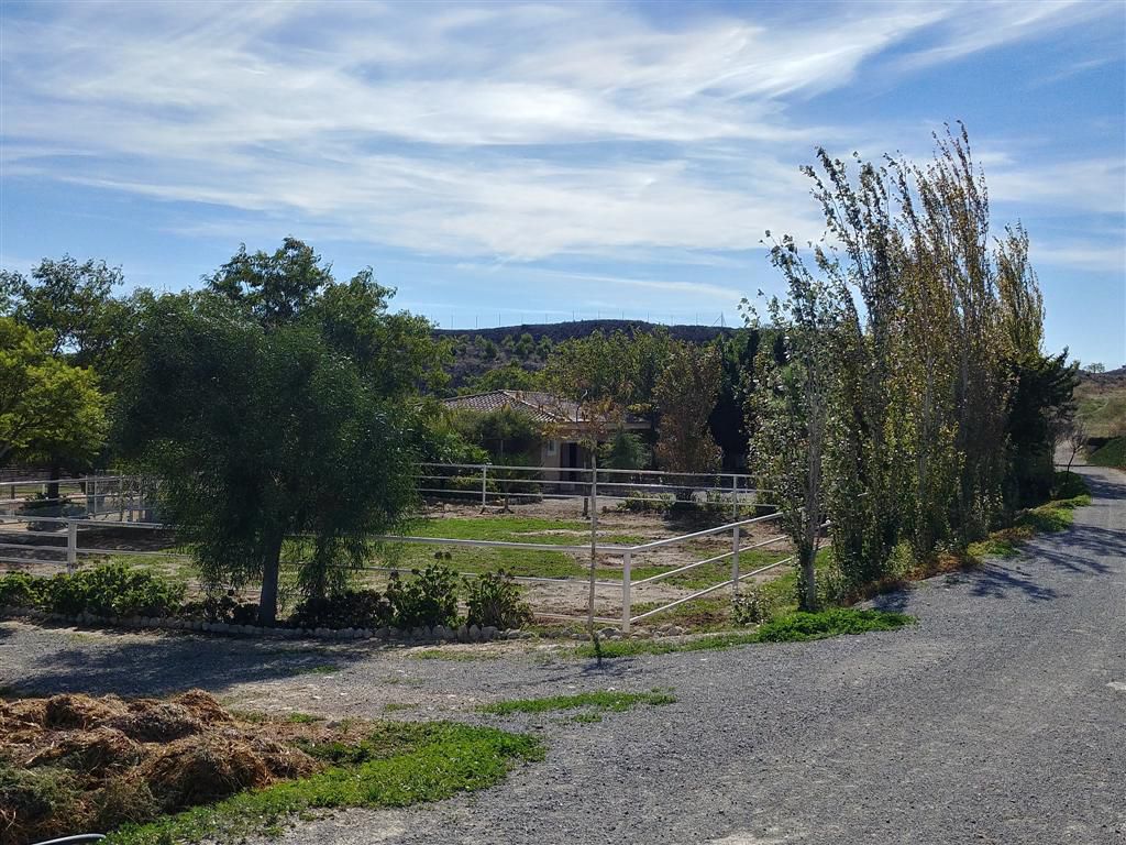 Farm for sale in Polígonos, Elche/elx, Alicante — photo 27