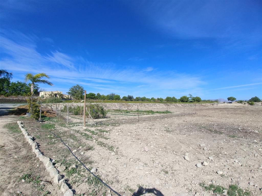 Farm for sale in Polígonos, Elche/elx, Alicante — photo 14