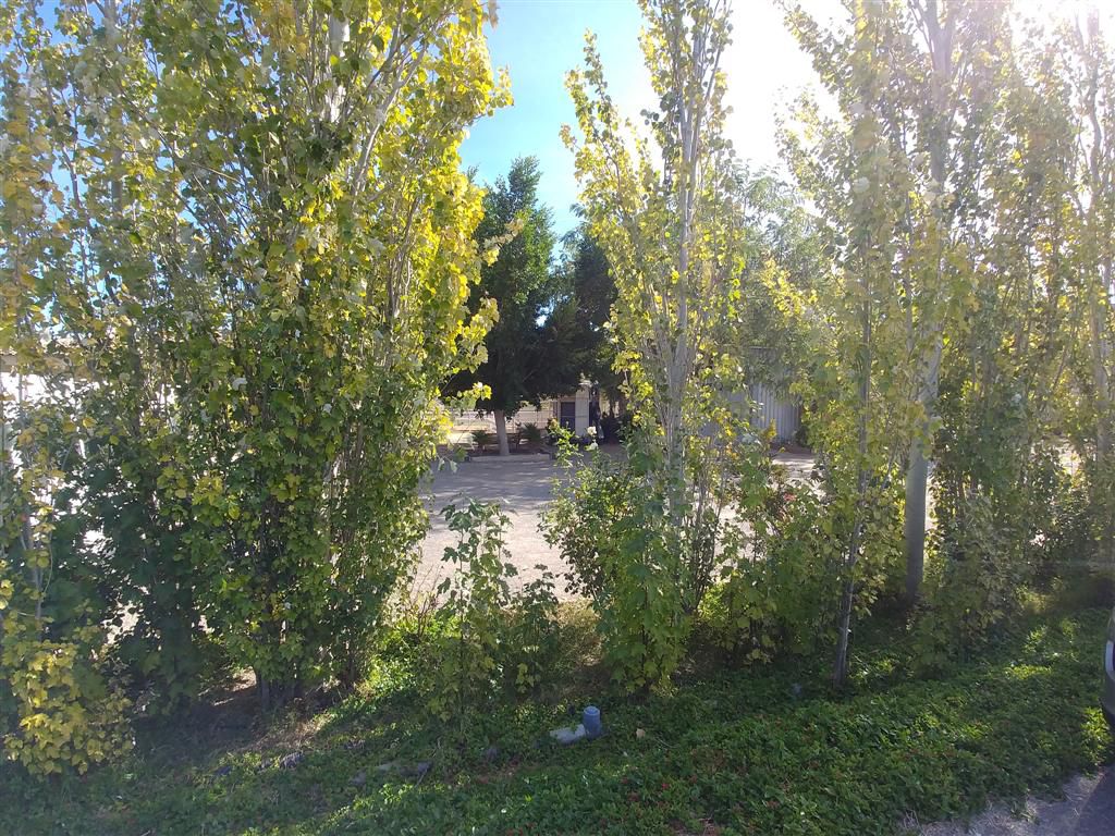 Farm for sale in Polígonos, Elche/elx, Alicante — photo 25