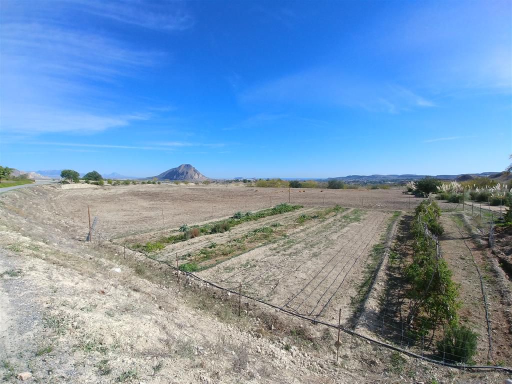 Farm for sale in Polígonos, Elche/elx, Alicante — photo 28