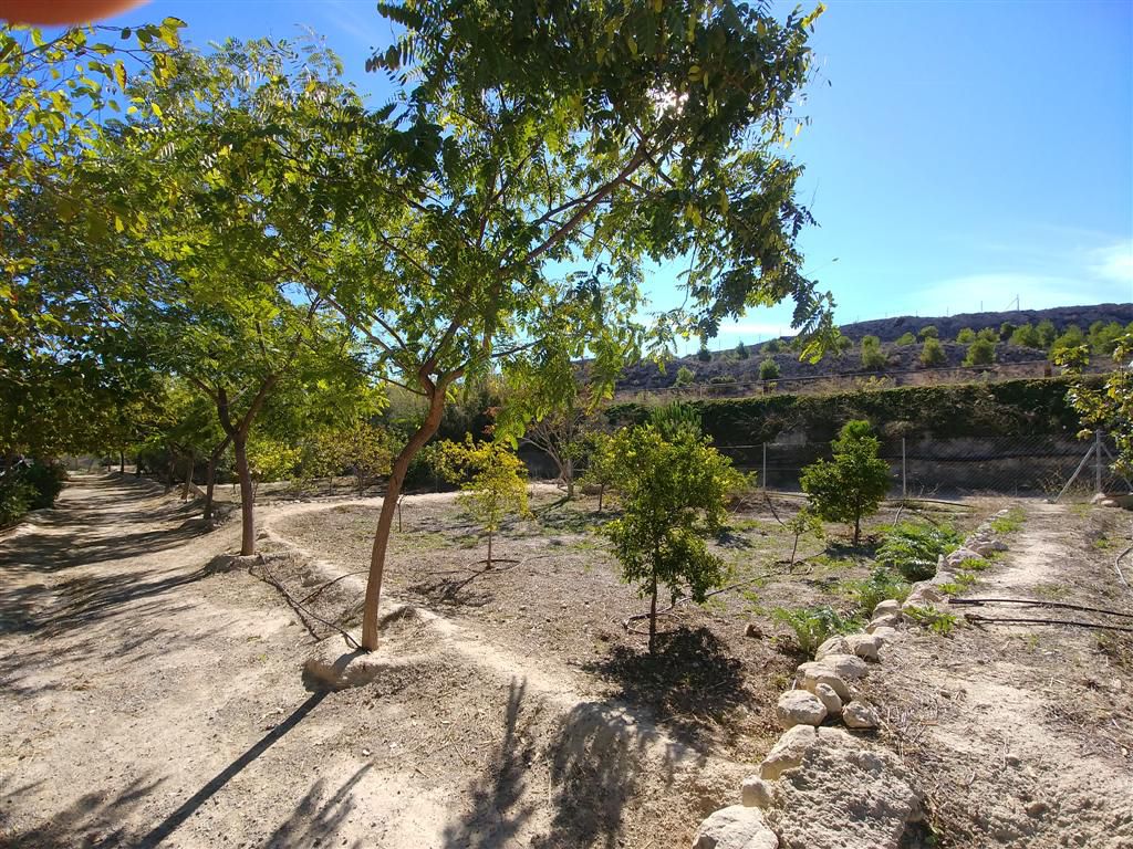 Farm for sale in Polígonos, Elche/elx, Alicante — photo 3